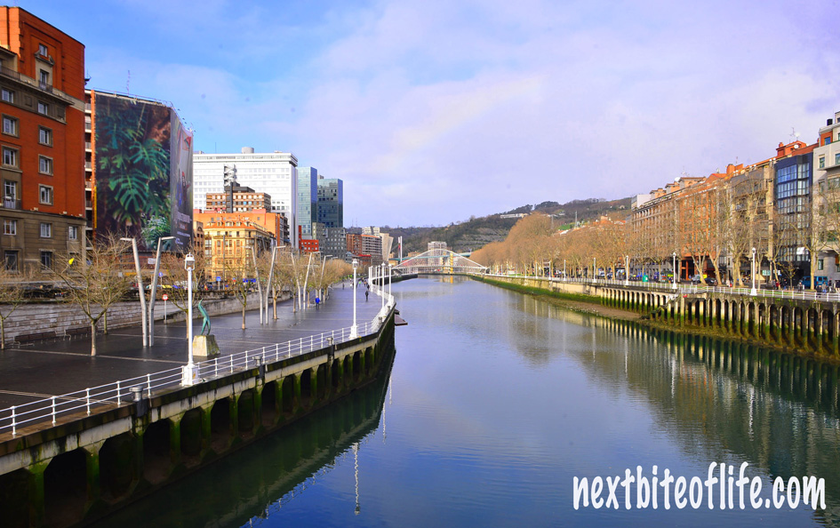 Bilbao nervion river two sides and zuliburi bridge background