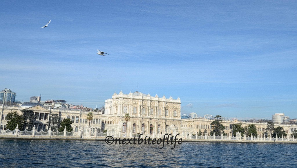 view of dolmabahce palace istanbul