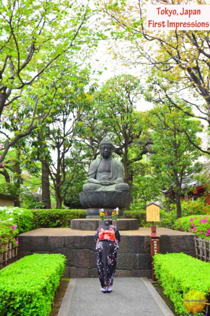 Tokyo japan first impressions #tokyo #japan #culture #edocityhistory #visittokyo