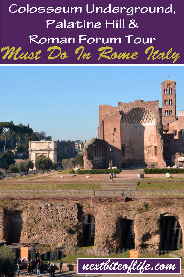 Colosseum Underground Palatine Hill Roman Forum tour with the Roman Guy #theromanguy #rome #italy #romeguide #romeitinerary #rometour #colosseotour #palatinehilltour #romanforumtour #mustseerome