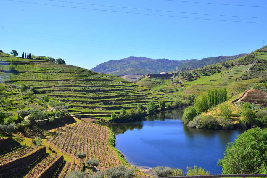 Douro Valley wine tasting tour pic of landscape and douro river