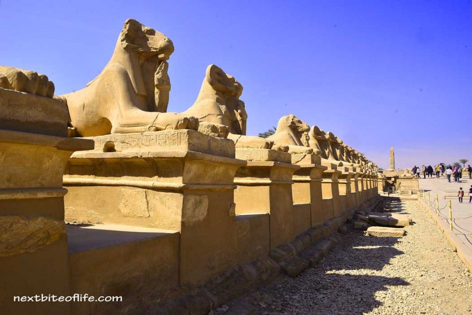 alley of the ram-headed sphiinges in Luxor Karnak temple