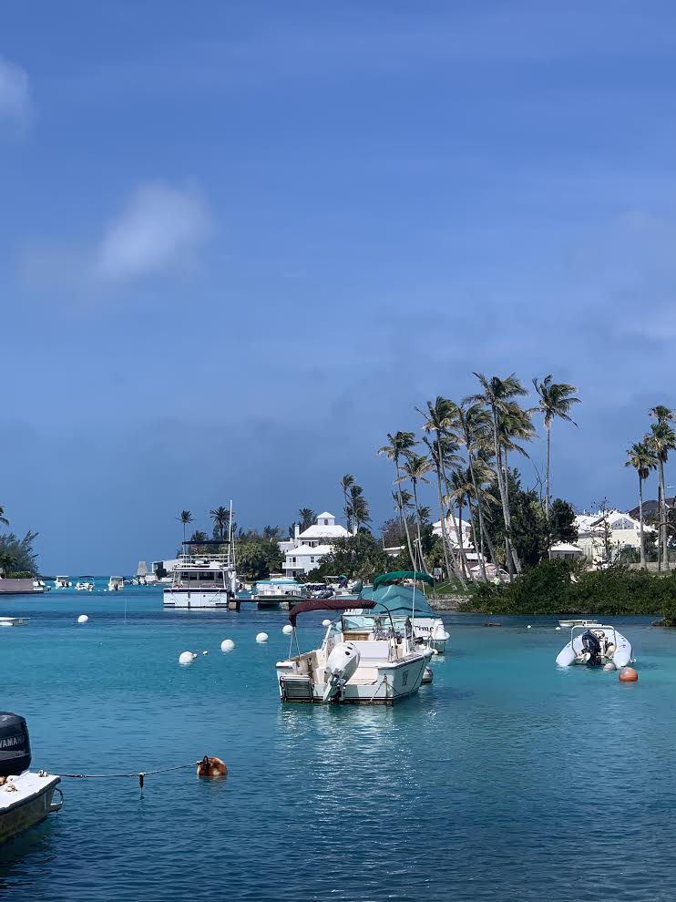 Expat In Bermuda - Lockdown Life With Glenda Jack 7 bermuda scenery